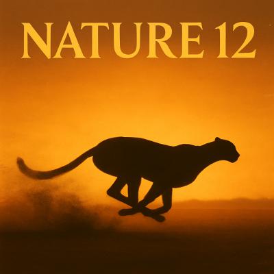 Nature 12