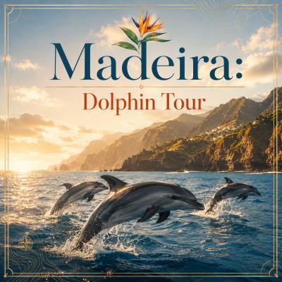 Madeira Dolphin Tour