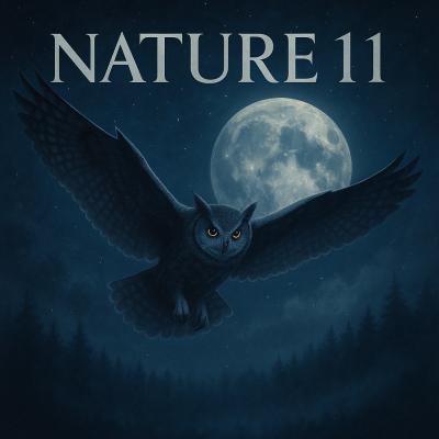 Nature 11