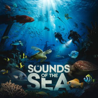 Sounds Of The Sea 2